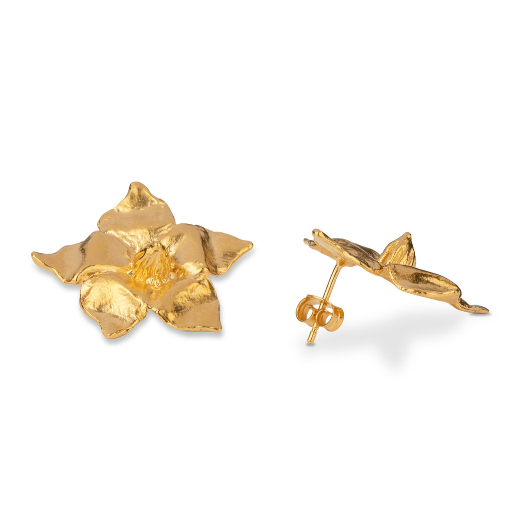 Narciso Earrings