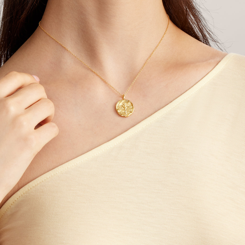 Aries Necklace