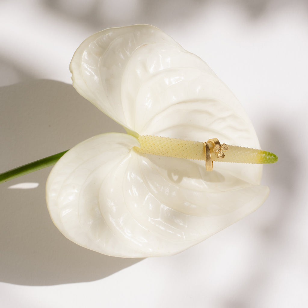 Bloom