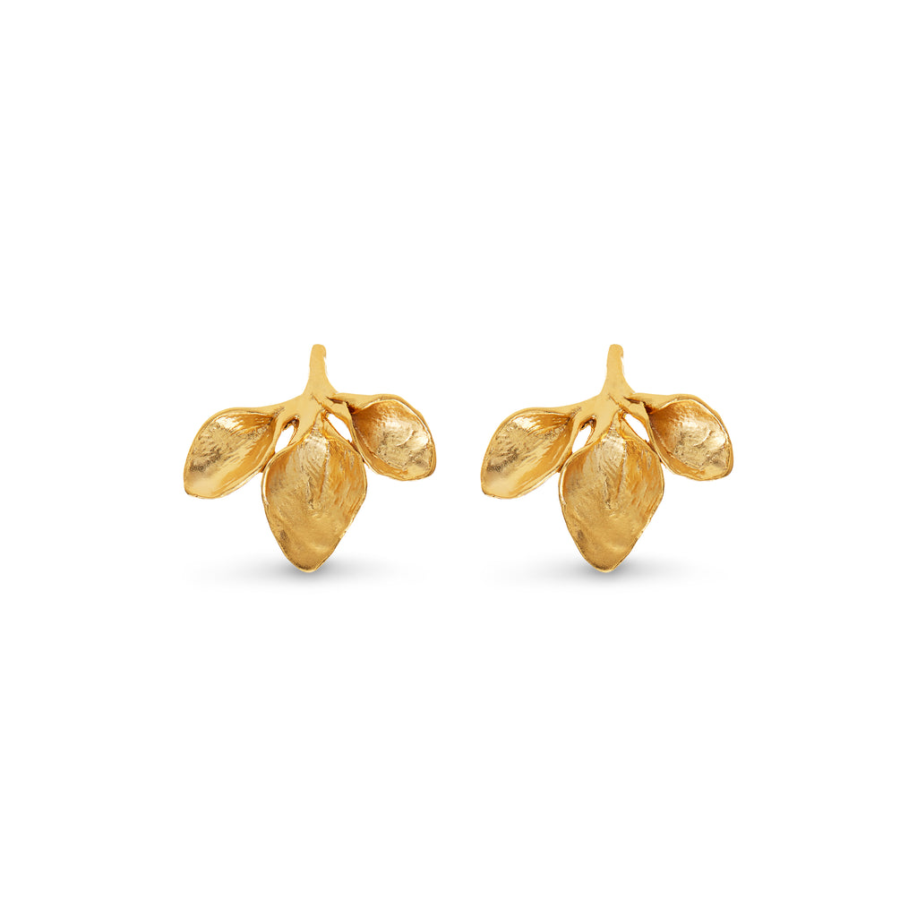 Petal Earrings
