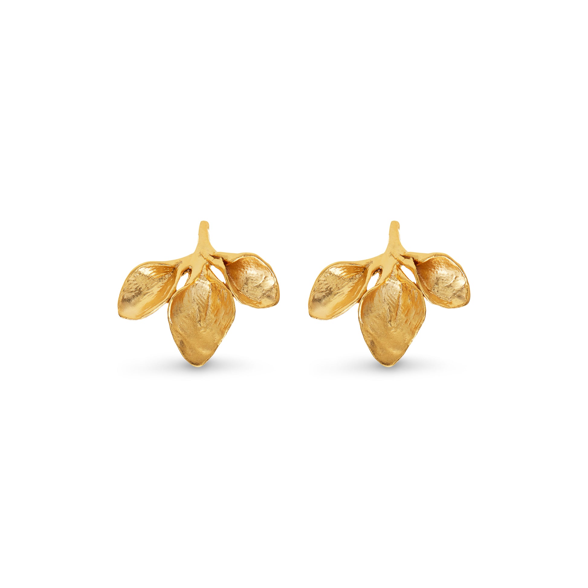 Petal Earrings