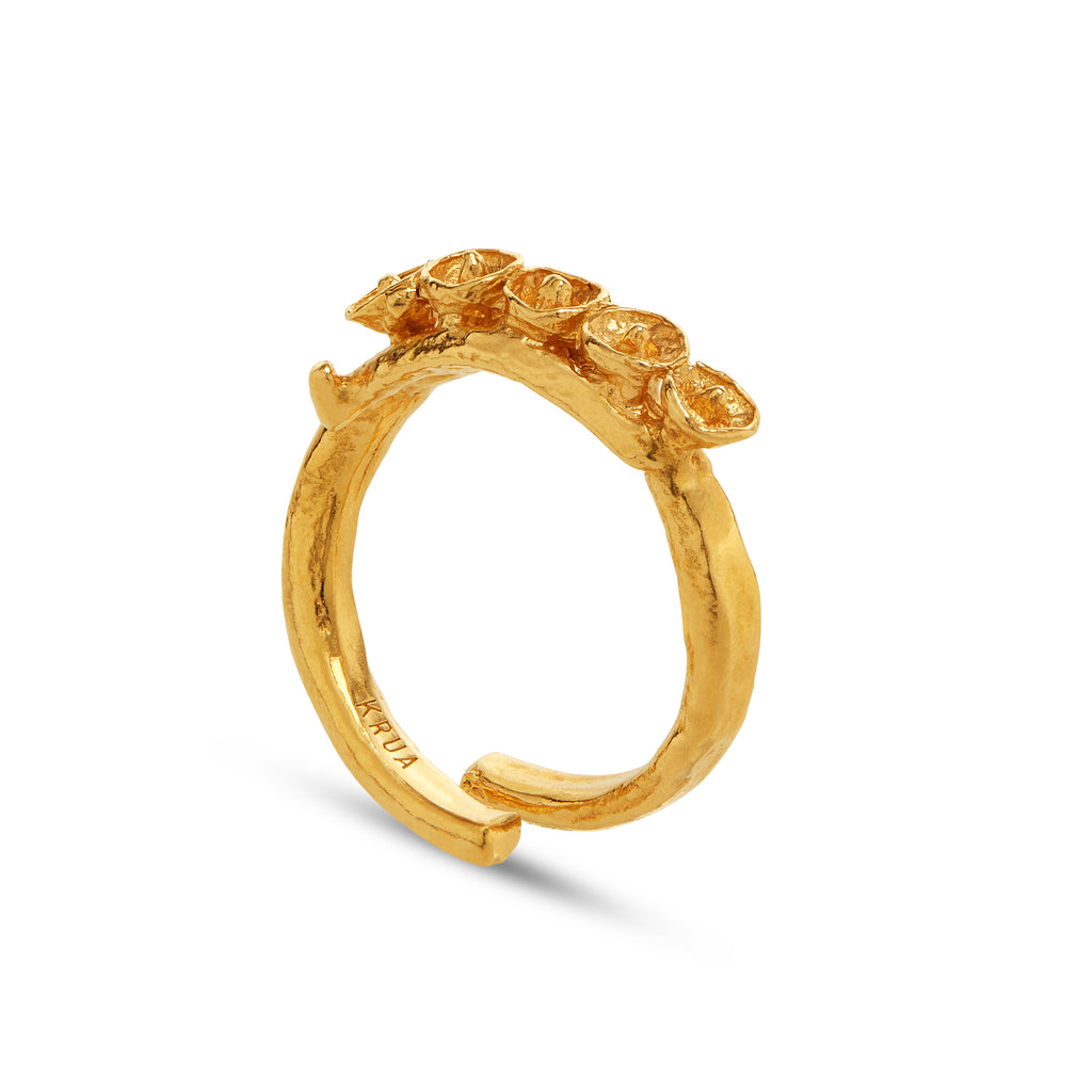 Seeds Ring