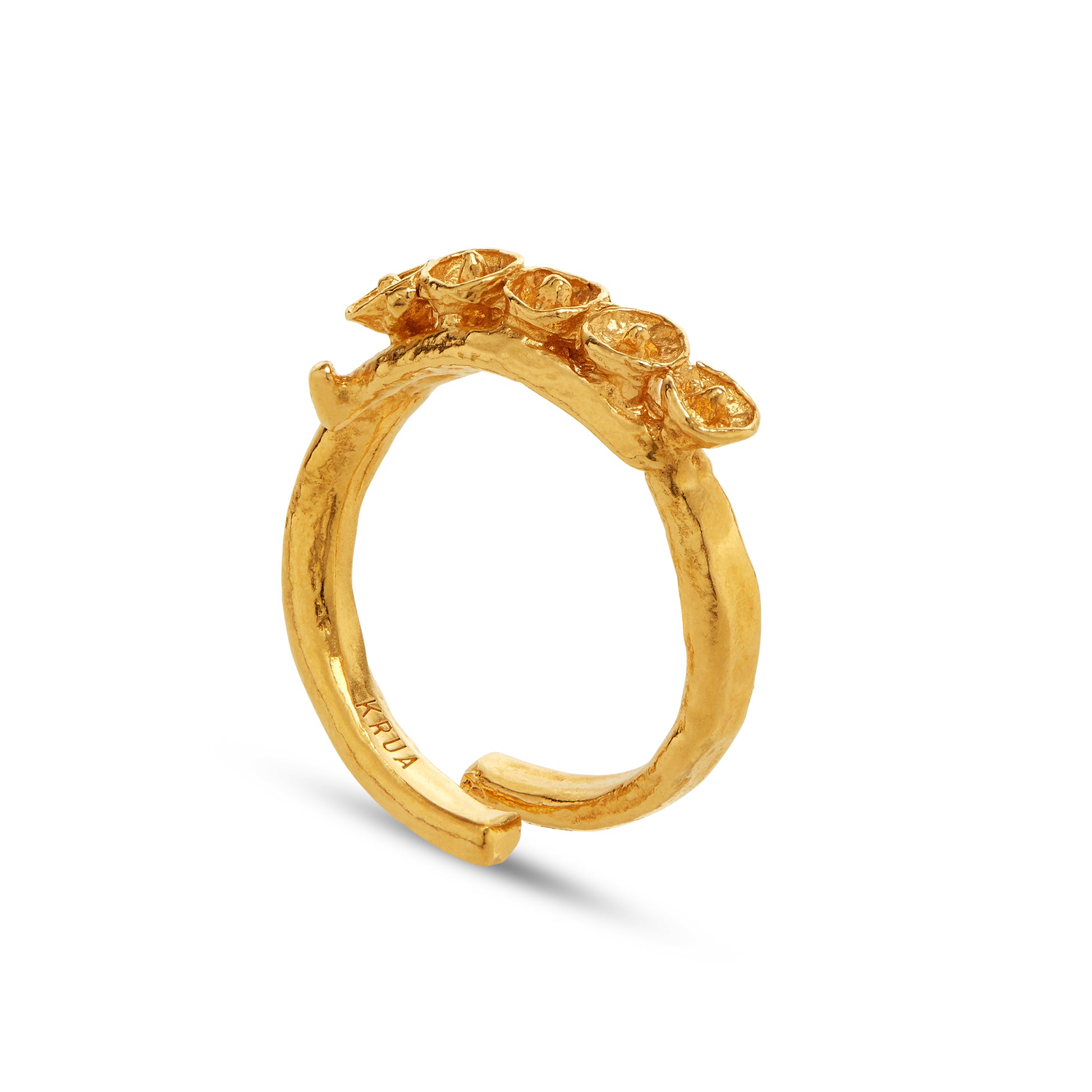 Seeds Ring