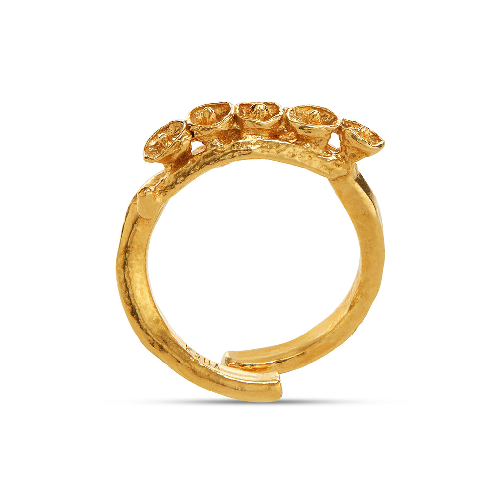 Seeds Ring