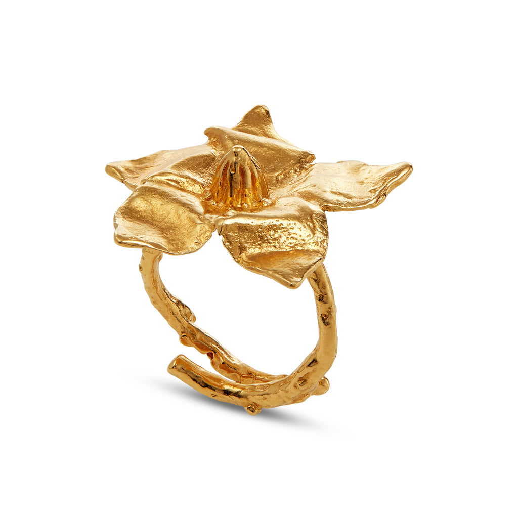 Narciso Ring