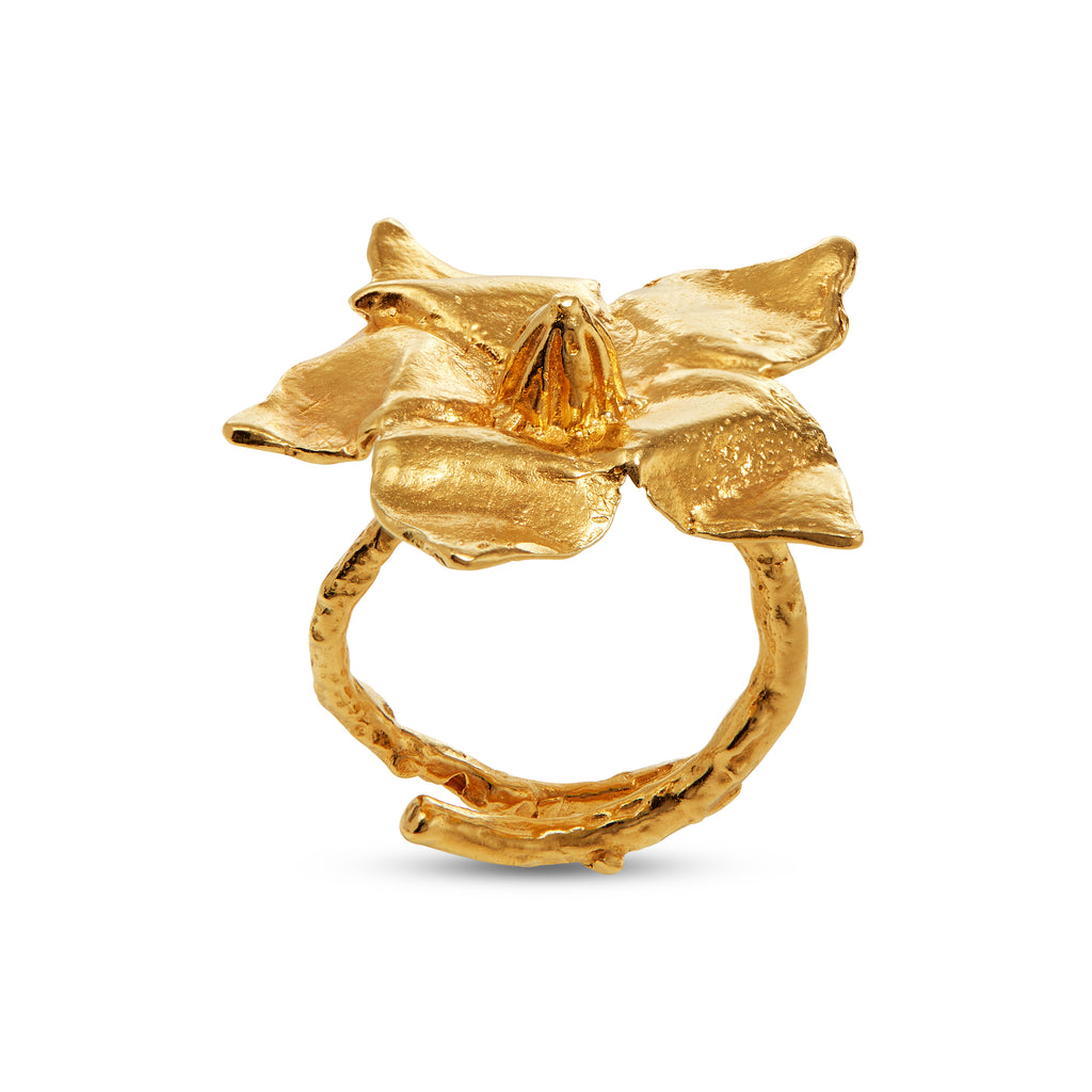 Narciso Ring
