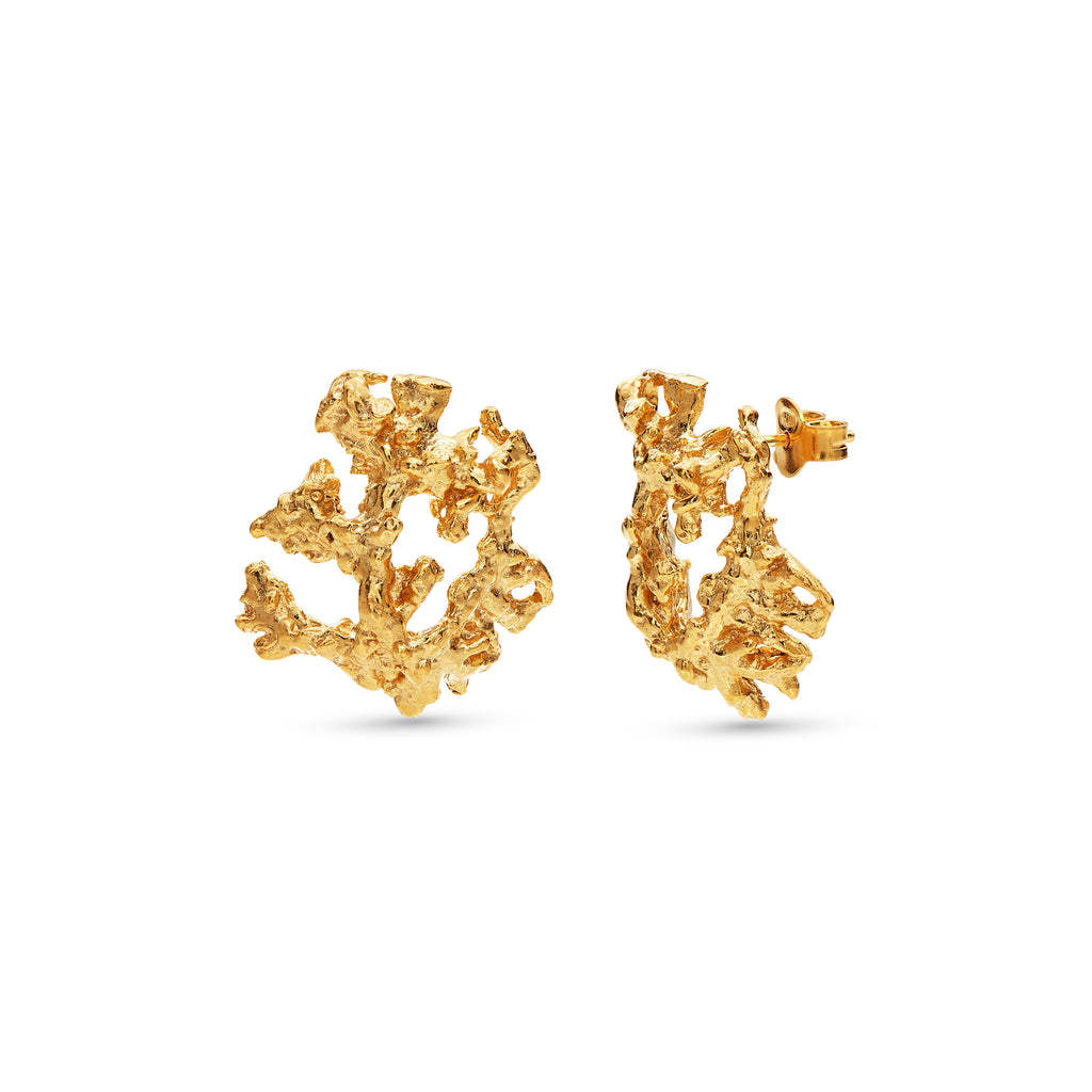 Ivory Earrings