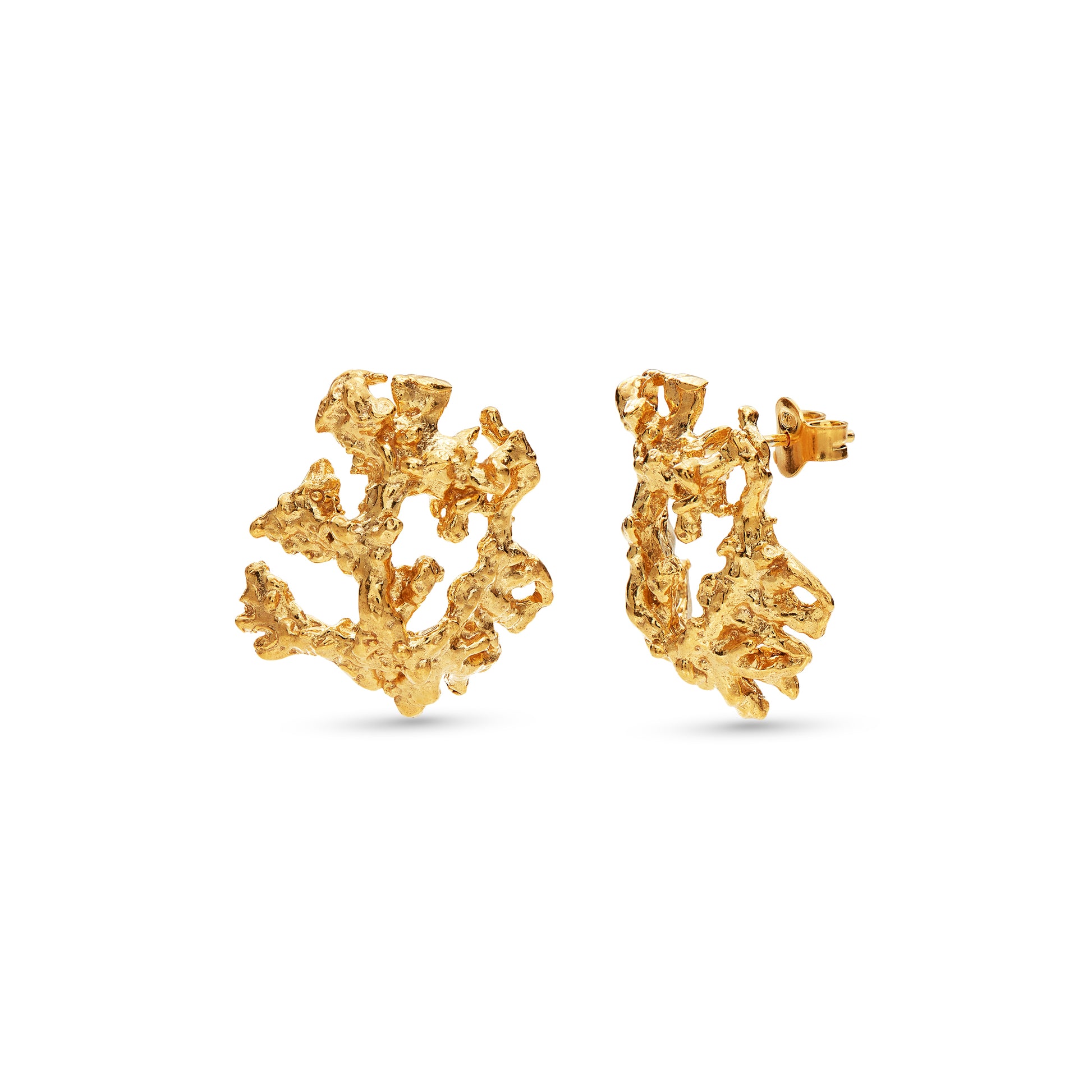 Ivory Earrings