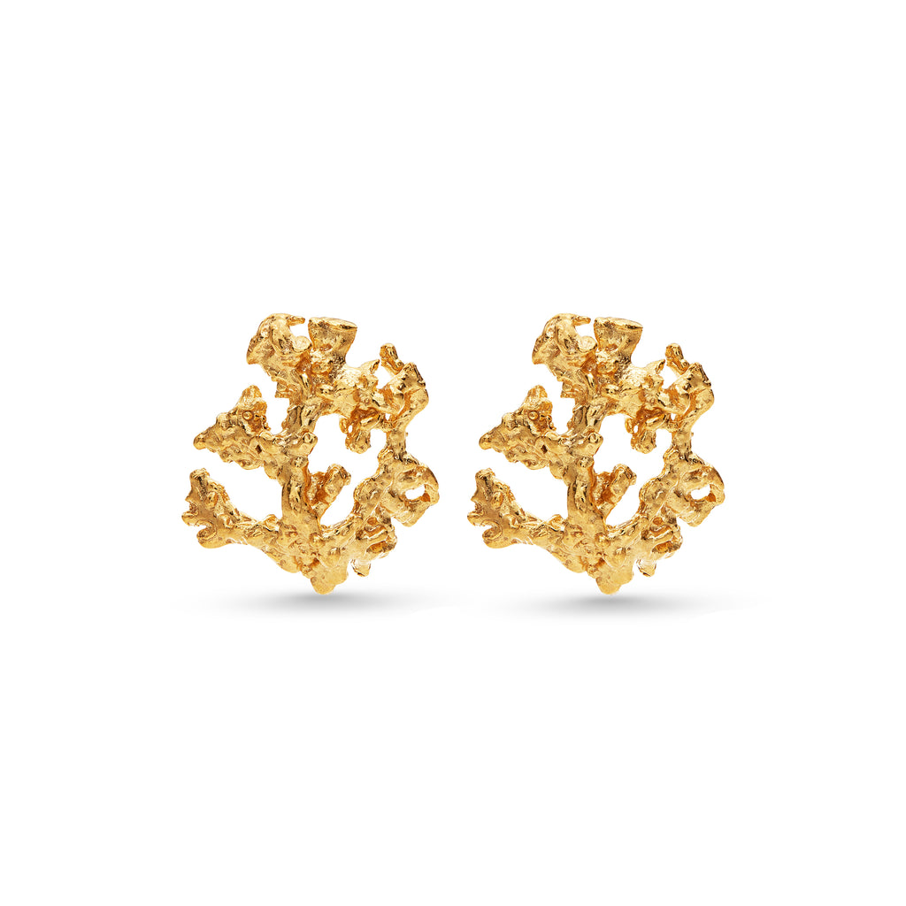 Ivory Earrings