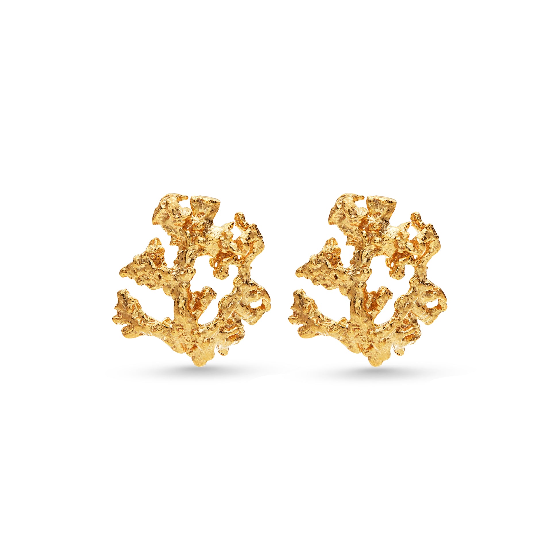 Ivory Earrings