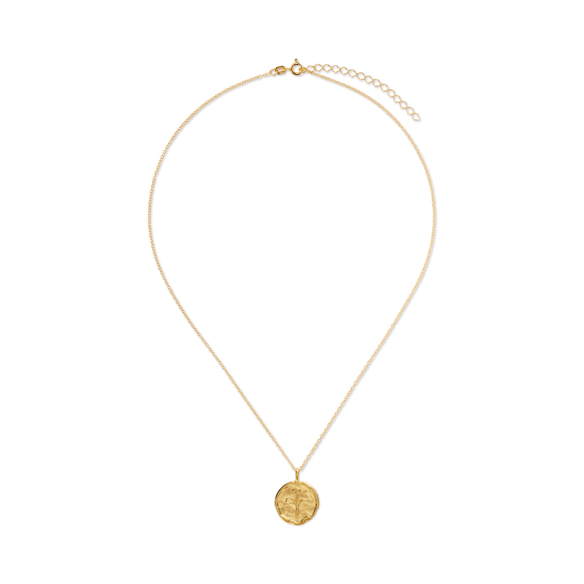 Aries Necklace