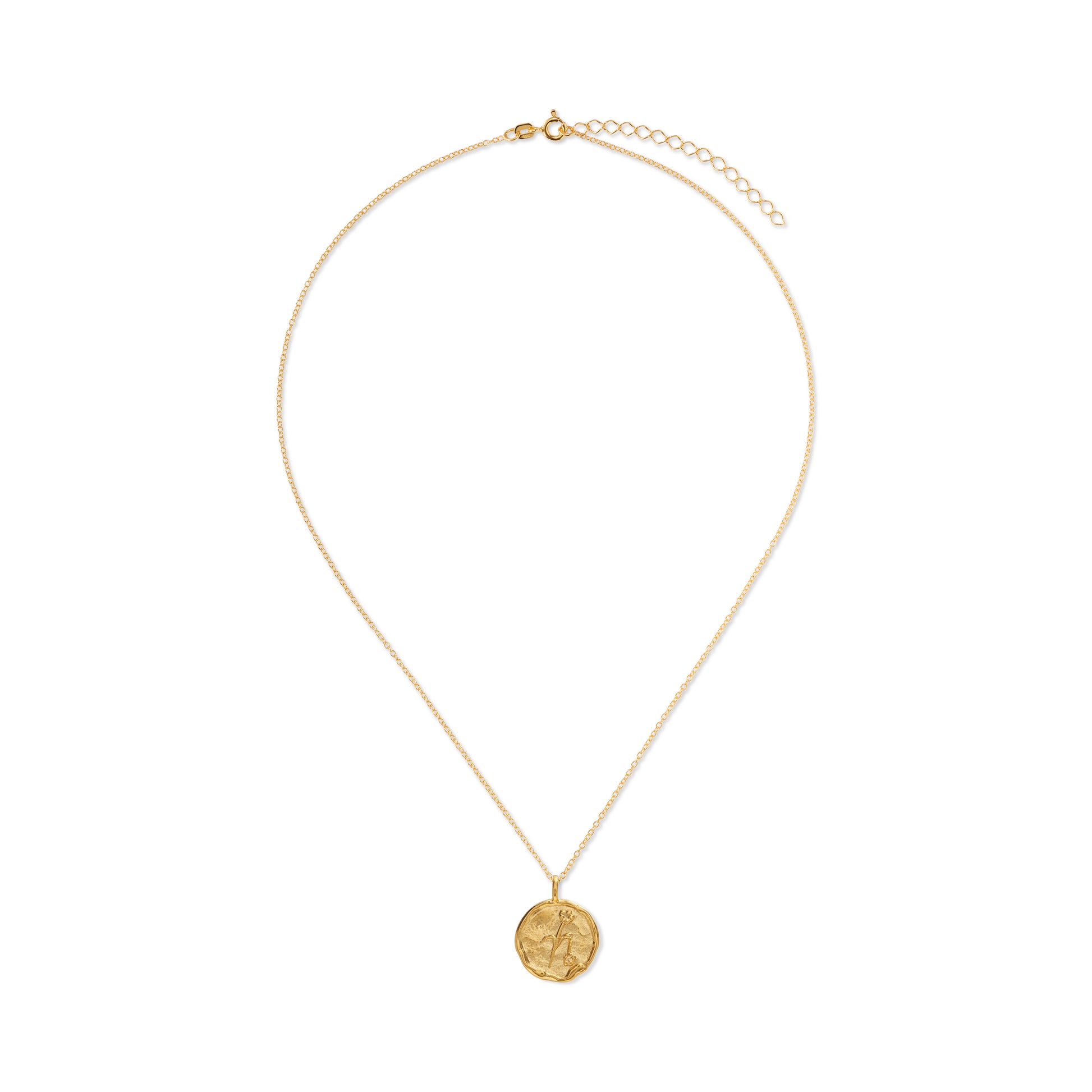 Capricorn Necklace