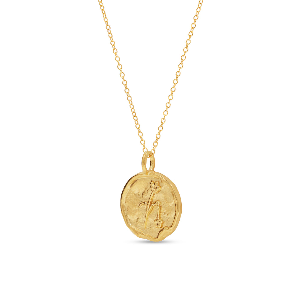 Capricorn Necklace
