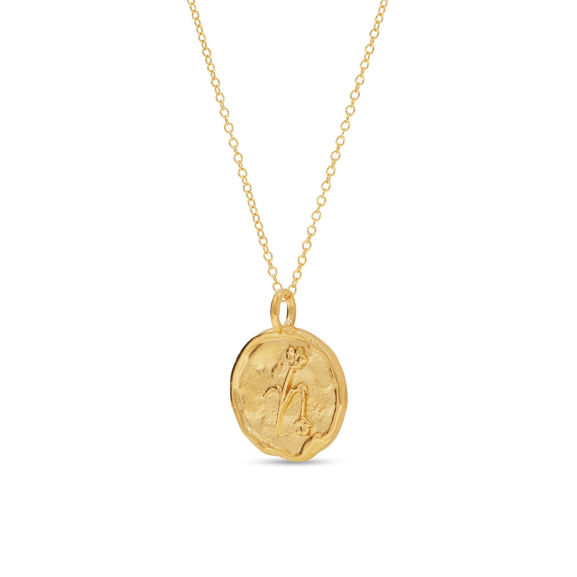 Capricorn Necklace