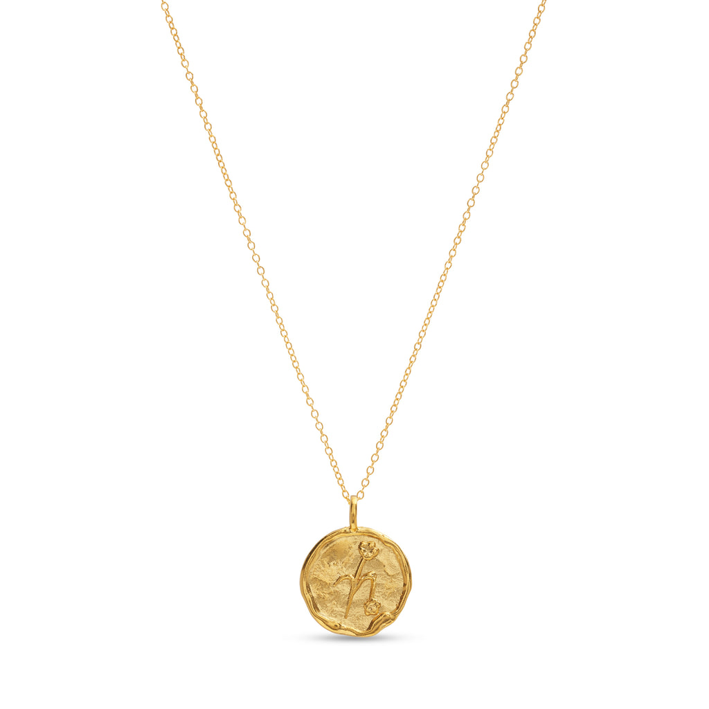 Capricorn Necklace