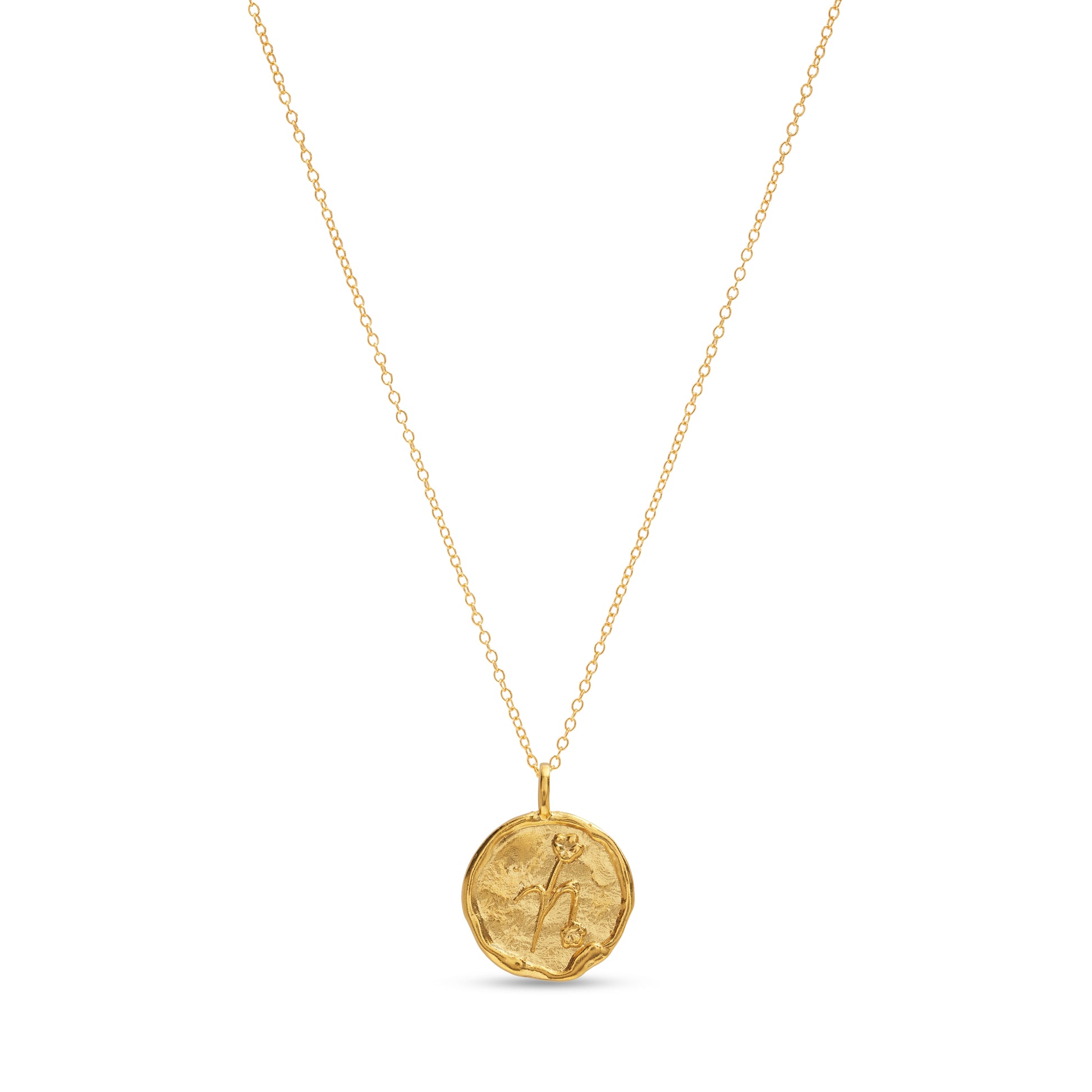 Capricorn Necklace