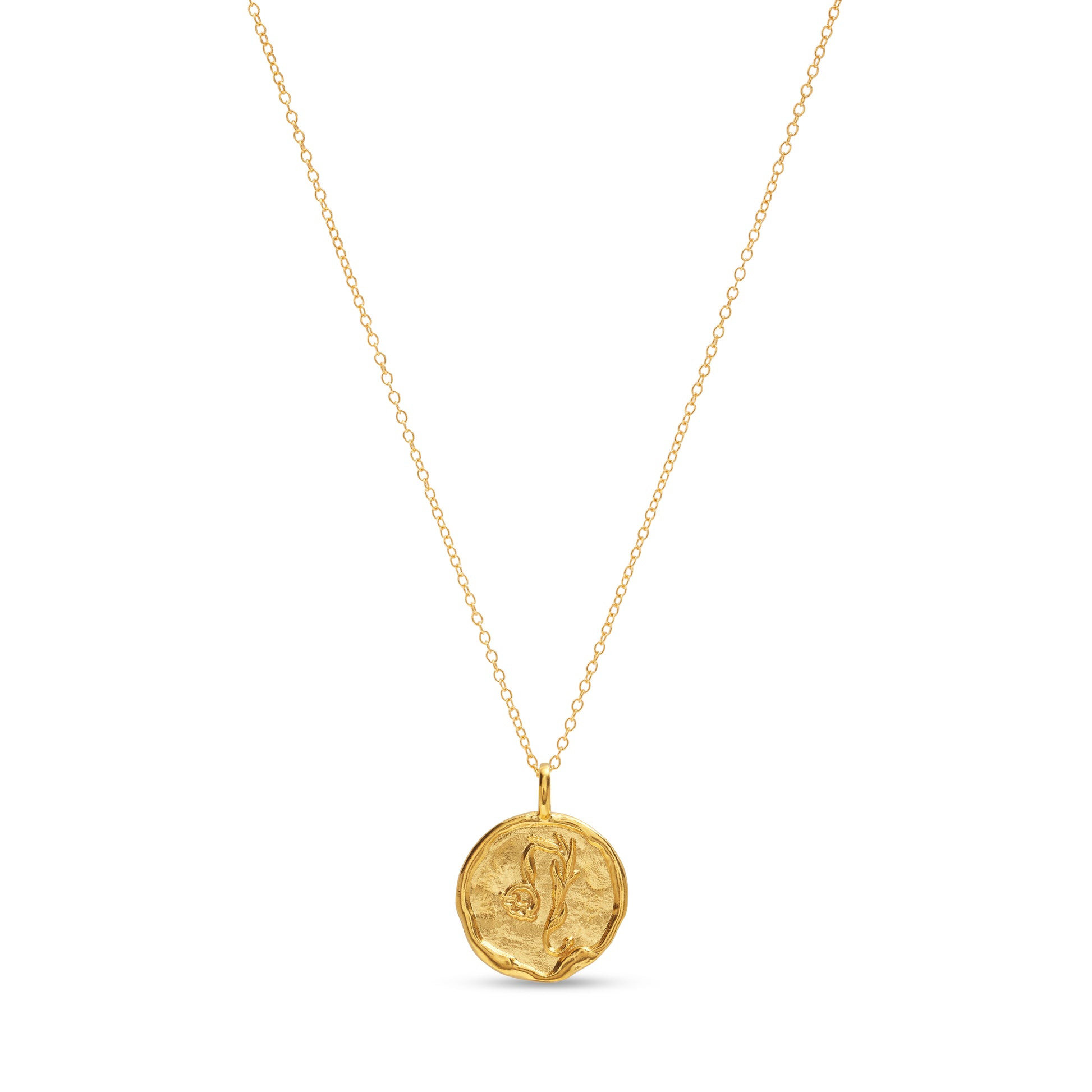 Leo Necklace