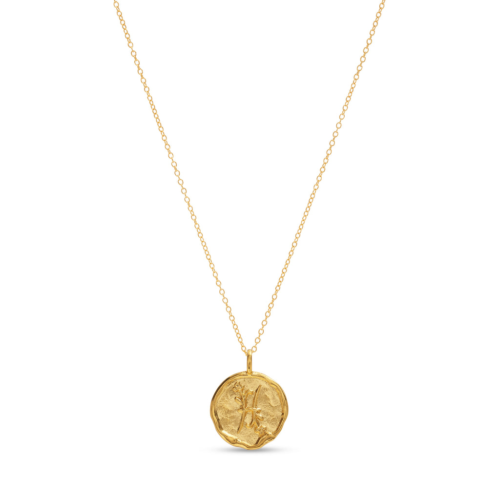 Pisces Necklace