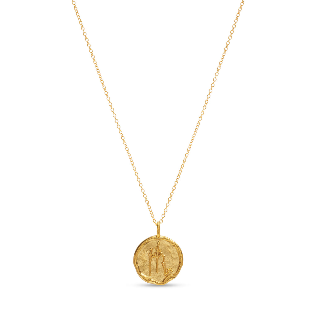 Scorpio Necklace