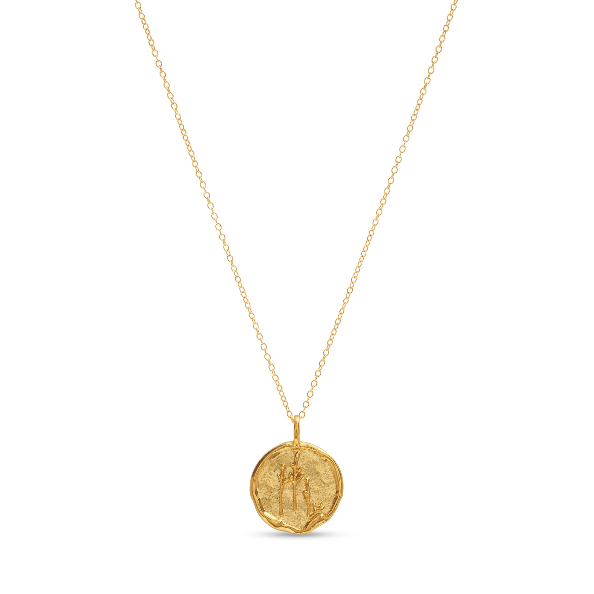 Scorpio Necklace